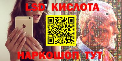 PSILOCYBIN Можга