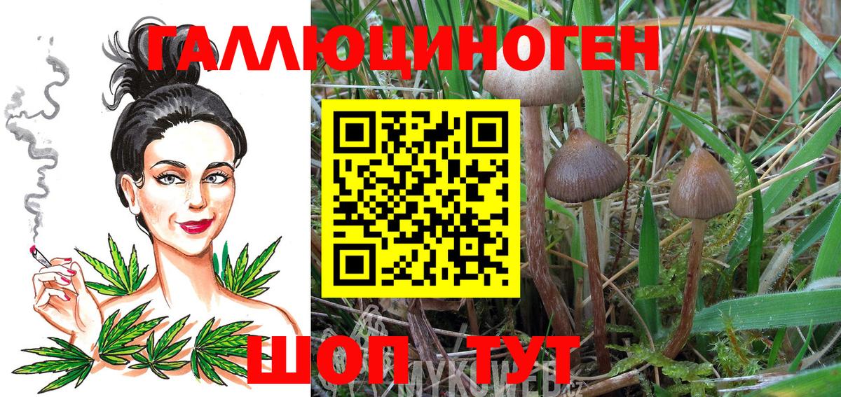 Псилоцибиновые грибы прущие грибы  Псилоцибиновые грибы Psilocybe  Вход с VPN  Видное 