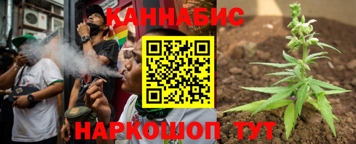 Бошки Шишки VHQ Видное